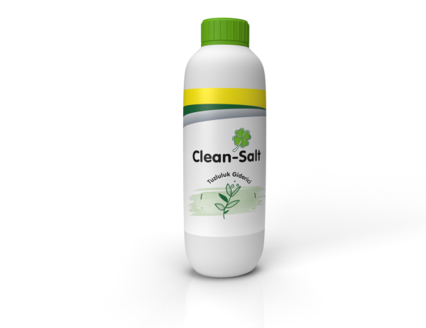 Clean-Salt
